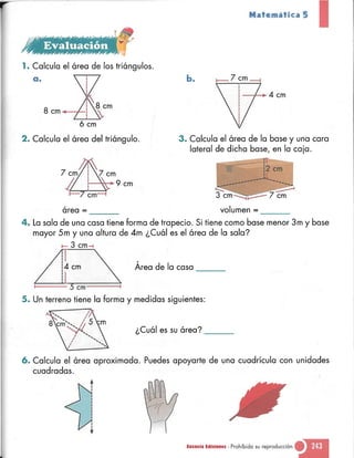 Matematica 5 susaeta