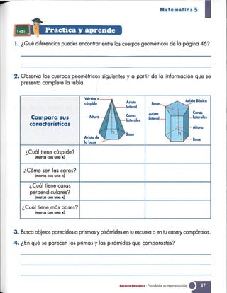 Matematica 5 susaeta
