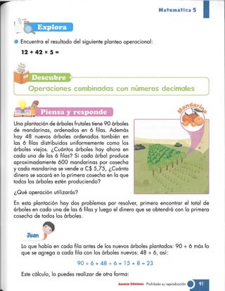Matematica 5 susaeta