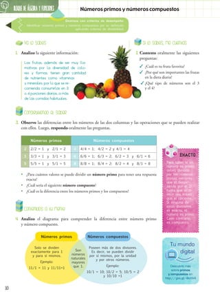 10
Números primos y números compuestos
BLOQUE DE ÁLGEBRA Y FUNCIONES
6
Destreza con criterios de desempeño:
Identificar números primos y números compuestos por su definición
aplicando criterios de divisibilidad.
Ya lo sabes
1.	 Analizo la siguiente información:
Contenidos a tu mente
4.	 Analizo el diagrama para comprender la diferencia entre número primo
y número compuesto.
Las frutas, además de ser muy lla-
mativas por la diversidad de colo-
res y formas, tienen gran cantidad
de nutrientes como vitaminas
y minerales, por lo que se re-
comienda consumirlas en 3
o 4 porciones diarias, a más
de las comidas habituales.
EXACTO
Para saber si un
número es primo,
debes dividirlo
por los números
primos menores
que él (empe-
zando por el 2)
hasta que el di-
visor sea mayor
que el cociente.
Si ninguna de
estas divisiones
es exacta, el
número es primo.
Caso contrario,
es compuesto.
Descubre más
sobre primos
y compuestos en:
http://goo.gl/4kmV4
Tu mundo
digital
Si lo sabes, me cuentas
2.	Contesto oralmente las siguientes
preguntas:
✓
✓ ¿Cuál es tu fruta favorita?
✓
✓ ¿Por qué son importantes las frutas
en la dieta diaria?
✓
✓ ¿Qué tipo de números son el 3
y el 4?
Construyendo el saber
3.	 Observo las diferencias entre los números de las dos columnas y las operaciones que se pueden realizar
con ellos. Luego, respondo oralmente las preguntas.
•
• ¿Para cuántos valores se puede dividir un número primo para tener una respuesta
exacta?
•
• ¿Cuál sería el siguiente número compuesto?
•
• ¿Cuál es la diferencia entre los números primos y los compuestos?
Números primos Números compuestos
2 2/2 = 1 y 2/1 = 2 4 4/4 = 1; 4/2 = 2 y 4/1 = 4
3 3/3 = 1 y 3/1 = 3 6 6/6 = 1; 6/3 = 2; 6/2 = 3 y 6/1 = 6
5 5/5 = 1 y 5/1 = 5 8 8/8 = 1; 8/4 = 2; 8/2 = 4 y 8/1 = 8
Son
números
naturales
mayores
que 1.
Números primos Números compuestos
Solo se dividen
exactamente para 1
y para sí mismos.
Ejemplo:
11/1 = 11 y 11/11=1
Poseen más de dos divisores.
Es decir, se pueden dividir
por sí mismos, por la unidad
y por otros números.
Ejemplo:
10/1 = 10; 10/2 = 5; 10/5 = 2
y 10/10 =1
 