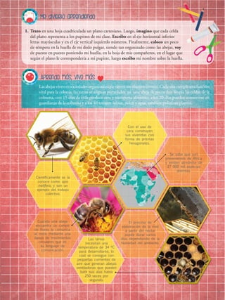 7
Me divierto aprendiendo
1.	 Trazo en una hoja cuadriculada un plano cartesiano. Luego, imagino que cada celda
del plano representa a los pupitres de mi clase. Escribo en el eje horizontal inferior
letras mayúsculas y en el eje vertical izquierdo números. Finalmente, coloco un poco
de témpera en la huella de mi dedo pulgar, siendo tan organizado como las abejas, voy
de puesto en puesto poniendo mi huella, en la hoja de mis compañeros, en el lugar que
según el plano le correspondería a mi pupitre, luego escribo mi nombre sobre la huella.
Lasabejasvivenensociedadesorganizadasquetienenunobjetivocomún.Cadaunacumpleunafunción
vital para la colonia, las tareas se asignan por edades: así una abeja de pocos días limpia las celdas de la
colmena, con 15 días de vida produce cera y transporta alimento, a los 20 días pueden convertirse en
guardianas de la colmena y a los 40 recogen néctar, polen y agua, también polinizan plantas.
Aprendo más, vivo más
Científicamente se la
conoce como apis
melífera, y son un
ejemplo del trabajo
colectivo.
Cuando una abeja
encuentra un campo
de flores lo comunica
al resto mediante una
danza de movimientos
circulares que es
su lenguaje de
comunicación.
El proceso de
elaboración de la miel
a partir del néctar
puede durar varios
días dependiendo de la
humedad del ambiente.
Se sabe que son
provenientes de África
y existen alrededor de
17 000 mil especies
distintas.
Las larvas
necesitan una
temperatura de 34 ºC
para desarrollarse, lo
cual se consigue con
pequeñas corrientes de
aire que generan abejas
ventiladoras que pueden
batir sus alas hasta
250 veces por
segundo.
Con el uso de
cera construyen
sus viviendas con
forma de prismas
hexagonales.
 