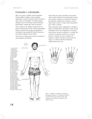 Matemática                                                                                  Ensino Fundamental

       Contando e calculando
       Olhe a sua volta e verifique onde há números,             Você sabia que contar nos dedos é uma prática
       formas, gráficos, tabelas e outros símbolos               usual e muito antiga? Foi um importante recurso
       matemáticos. O que foi possível observar? Escreva         que auxiliou o homem na criação dos números e
       tudo o que você conseguiu ver. Separe aqueles             das operações. Alguns povos usaram, e outros
       elementos que você acha que foram inventados              ainda usam, a mão e o corpo como instrumentos
       pelo homem e aqueles que estão na natureza.               para contar e calcular.
       Tente lembrar-se de algumas maneiras que as               Hoje calculamos muito rapidamente com lápis e
       pessoas utilizam para contar, indicar quantidades,        papel ou simplesmente apertando a tecla de uma
       marcar os pontos de um jogo ou apresentar o               calculadora ou de um computador. No entanto,
       resultado de uma partida de futebol. Escreva no           houve época em que os números e o cálculo não
       seu caderno algumas dessas formas.                        existiam e foi preciso inventá-los. O uso de
       Você já usou os dedos para contar ou calcular? E          marcas e entalhes em ossos e pedaços de
       uma máquina calculadora?                                  madeira, os dedos das mãos, outras partes do
                                                                 corpo, e os ábacos, foram instrumentos
                                                                 indispensáveis para isso.




                                                            Figura 1 – IFRAH, G. Os números: a história de
                                                            uma grande invenção. 2 ed. Tradução de Stella M.
                                                            de Freitas Senra. Rio de Janeiro: Globo, 1989.
                                                            Tradução de: Les Chiffres, ou I’histoire d’ une
                                                            grand invention.



14
 