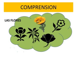 COMPRENSIONLAS FLORES