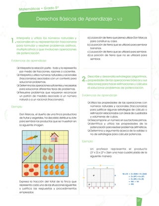 Derechos Básicos de Aprendizaje • V.2
37
1.
Interpreta y utiliza los números naturales y
racionales en su representación fraccionaria
para formular y resolver problemas aditivos,
multiplicativos y que involucren operaciones
de potenciación.
Evidencias de aprendizaje
m	Interpreta la relación parte - todo y la representa
por medio de fracciones, razones o cocientes.
m	Interpreta y utiliza números naturales y racionales
(fraccionarios) asociados con un contexto para
solucionar problemas.
m	Determina las operaciones suficientes y necesarias
para solucionar diferentes tipos de problemas.
m	Resuelve problemas que requieran reconocer
un patrón de medida asociado a un número
natural o a un racional (fraccionario).
Ejemplo
	 Don Marcos, el dueño de una finca productora
de frutas y vegetales, ha decidido distribuir su lote
para sembrar los productos que se muestran en
la siguiente imagen.
	 Expresa la fracción del total de la finca que
representa cada una de las situaciones siguientes
y justifica las respuestas y procedimientos
empleados:
Matemáticas • Grado 5º
a)	La porción de tierra que piensa utilizar Don Marcos
para construir su casa.
b)	La porción de tierra que se utilizará para sembrar
bananos.
c)	La porción de tierra que se utilizará para sembrar.
d)	La porción de tierra que no se utilizará para
sembrar.
2.
Describe y desarrolla estrategias (algoritmos,
propiedades de las operaciones básicas y sus
relaciones) para hacer estimaciones y cálculos
al solucionar problemas de potenciación.
Evidencias de aprendizaje
m	Utiliza las propiedades de las operaciones con
números naturales y racionales (fraccionarios)
para justificar algunas estrategias de cálculo o
estimación relacionados con áreas de cuadrados
y volúmenes de cubos.
m	Descompone un número en sus factores primos.
m	Identifica y utiliza las propiedades de la
potenciación para resolver problemas aritméticos.
m	Determina y argumenta acerca de la validez o
no de estrategias para calcular potencias.
Ejemplo
	 Un profesor representa el producto
(32
x 2) x (22
x 3)en una hoja cuadriculada de la
siguiente manera:
Matematicas DBA_Final.indd 37 12/10/16 3:38 p.m.
 