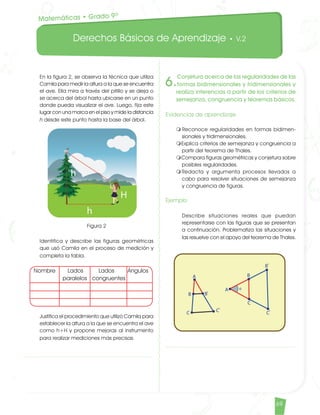 Derechos Básicos de Aprendizaje • V.2
69
	 En la figura 2, se observa la técnica que utiliza
Camila para medir la altura a la que se encuentra
el ave. Ella mira a través del pitillo y se aleja o
se acerca del árbol hasta ubicarse en un punto
donde pueda visualizar el ave. Luego, fija este
lugar con una marca en el piso y mide la distancia
h desde este punto hasta la base del árbol.
	 Figura 2
	 Identifica y describe las figuras geométricas
que usó Camila en el proceso de medición y
completa la tabla.
Nombre 	 Lados 	 Lados 	 Ángulos
			 paralelos congruentes
	 Justifica el procedimiento que utilizó Camila para
establecer la altura a la que se encuentra el ave
como h+H y propone mejoras al instrumento
para realizar mediciones más precisas.
6.
Conjetura acerca de las regularidades de las
formas bidimensionales y tridimensionales y
realiza inferencias a partir de los criterios de
semejanza, congruencia y teoremas básicos.
Evidencias de aprendizaje
m	Reconoce regularidades en formas bidimen-
sionales y tridimensionales.
mExplica criterios de semejanza y congruencia a
partir del teorema de Thales.
mCompara figuras geométricas y conjetura sobre
posibles regularidades.
mRedacta y argumenta procesos llevados a
cabo para resolver situaciones de semejanza
y congruencia de figuras.
Ejemplo
	 Describe situaciones reales que puedan
representarse con las figuras que se presentan
a continuación. Problematiza las situaciones y
las resuelve con el apoyo del teorema de Thales.
Matemáticas • Grado 9º
Matematicas DBA_Final.indd 69 12/10/16 3:39 p.m.
 