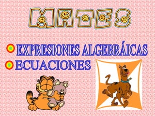 EXPRESIONES ALGEBRÁICAS ECUACIONES 