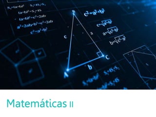 Matemáticas II
 
