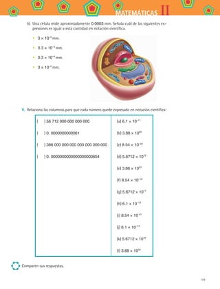 119
IIMATEMÁTICAS
b) 	Una célula mide aproximadamente 0.0003 mm. Señala cuál de las siguientes ex-
presiones es igual a esta cantidad en notación científica.
•	 3 × 10–3
mm.
•	 0.3 × 10–3
mm.
•	 0.3 × 10–4
mm.
•	 3 × 10–4
mm.
V.	 Relaciona las columnas para que cada número quede expresado en notación científica:
(    ) 56 712 000 000 000 000 (a) 6.1 × 10–11
(    ) 0. 0000000000061 (b) 3.88 × 1022
(    ) 388 000 000 000 000 000 000 000 (c) 8.54 × 10–20
(    ) 0. 0000000000000000000854 (d) 5.6712 × 1015
(e) 3.88 × 1023
(f) 8.54 × 10–19
(g) 5.6712 × 1017
(h) 6.1 × 10–13
(i) 8.54 × 10–21
(j) 6.1 × 10–12
(k) 5.6712 × 1016
(l) 3.88 × 1024
Comparen sus respuestas.
MAT2 B4 S24.indd 119 9/10/07 12:40:00 PM
 