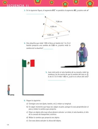 126
secuencia 11
3. En la siguiente figura, el segmento B´c´ es paralelo al segmento Bc, ¿cuánto vale x?
4.25 cm
B
c
c'
B'
a'
x
4.20 cm
7.20 cm
4. Una abuelita que mide 1.55 m lleva un bastón de 1 m. Si el
bastón proyecta una sombra de 0.80 m, ¿cuánto mide la
sombra de la abuelita?
6. Hagan lo siguiente:
a) Consigan una vara (palo, bastón, etc.); midan su longitud.
b) En algún momento que haya sol, salgan al patio, pongan la vara perpendicular al
piso y midan la sombra que proyecta.
c) Elijan un objeto alto cuya altura deseen calcular: un árbol, el asta bandera, el alto
de la canasta de basquetbol, etcétera.
d) Midan la sombra que proyecta ese objeto.
e) Con esos datos calculen la altura del objeto.
5. Juan está junto al asta bandera de su escuela, mide las
sombras y se da cuenta de que la sombra del asta es 7
2
la de él. Si él mide 1.60 m, ¿cuál es la altura del asta?
m lleva un bastón de 1 m. Si el
m, ¿cuánto mide la
MAT3 B2 S11.indd 126 6/20/08 5:02:19 PM
 