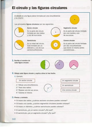 El círculo y las figuras circulares
El círculo es una, figura plana formada po~ una círcunterenoia
j su interior.
Las principales figuras circulares son las siguientes:
Sector circular
is la parte del círculo
limitada por dos radios.
_y_uno de sus.arcos.
Segmento circular
~? la parte del círculo limitada
_ por una cuerda y uno
.de.sus arcos.
-.C_QI.O na-circu lar
Es la parte del círculo limitada
por dos circunferencias
r: que tienen el mismo centro
(concéntricas). ~
1. Escribe el nombre de
cada figura circular.
OG
Un segmento circular
Un semicírculo
Una corona circular
X3. Piensa y contesta.
• Si trazas dos radios, ¿cuántos sectores circulares puedes colorear?
• Si trazas una cuerda, ¿cuántos segmentos circulares puedes colorear?
• Si trazas un diámetro, ¿cuántos semicírculos puedes colorear?
Semicírculo
Es la mitad-del círculo.---
Está limitadopor un
-----
~iámetro'y una de sus
~emicircunferencias.
/ 2. Dibuja cada figura circular y explica cómo lo has hecho.
~ Ejemplo:
Un sector circular
1.° Dibujo una circunferencia.
2.° Trazo dos radios.
3.° Repaso uno de sus arcos.
4.° Coloreo el interior.
(7;,',~~..:
. .. .. .. .:........•..
• El semicírculo, ¿es un sector circular? ¿Por qué?
• El semicírculo, ¿es un segmento circular? ¿Por qué?
142
 