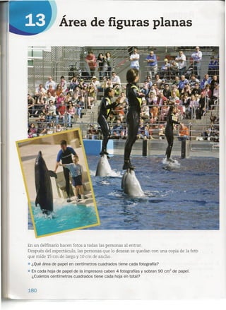 l
;
Area de figuras planas
En un delfinario hacen fotos a todas las personas al entrar.
Después del espectáculo, las personas que lo desean se quedan con una copia de la foto
que mide 15 cm de largo y 10 cm de ancho .
• ¿Qué área de papel en centímetros cuadrados tiene cada fotografía?
• En cada hoja de papel de la impresora caben 4 fotografías y sobran 90 crrf de papel.
¿Cuántos centímetros cuadrados tiene cada hoja en total?
180
 