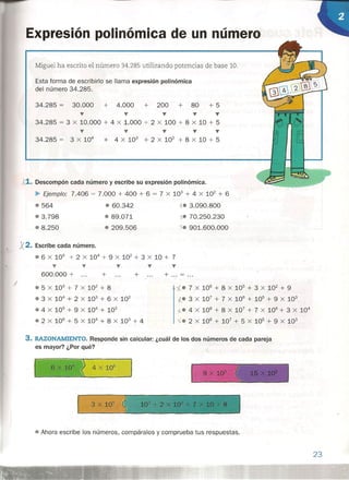 J
Expresión polinómica de un número
Miguel ha escrito el número 34.285 utilizando potencias de base 10.
Esta forma de escribirlo se llama expresión polinómica
del número 34.285.
34.285 = 30.000 + 4.000 + 200 + 80 + 5
'f' 'f' 'f' 'f' 'f'
34.285 = 3 x 10.000 + 4 x 1.000 + 2 x 100 + 8 x 10 + 5
••. 'f' 'f' 'f' 'f'
34.285 = 3 x 104
+ 4 X 103
+ 2 X 102
+ 8 x 10 + 5
,.,1. Descompón cada número y escribe su expresión polinómica.
~ Ejemplo: 7.406 = 7.000 + 400 + 6 = 7 X 103
+ 4 X 102
+ 6
41} 564
.3.798
* 8.250
ie 3.090.800
'j... 70.250.230
1. 901.600.000
• 60.342
• 89.071
• 209.506
X2. Escribe cada número.
• 6 x 10
5
+ 2 X 10
4
+ 9 X 10
2
+ 3 x 10 + 7
v
600.000 + +
'f'
+ ... = ...+
•• 5 X 103
+ 7 X 102
+ 8
•• 3 X 104
+ 2 X 103
+ 6 X 102
• 4 X 10
5
+ 9 X 10
4
+ 10
2
• 2 X 10
6
+ 5 X 10
4
+ 8 X 10
3
+ 4
- '/..•• 7 X 106 + 8 X 105 + 3 X 102
+ 9
-1.... 3 X 107
+ 7 X .106
+ 105
+ 9 X 103
-f... e 4 x 108
+ 8 X 107
+ 7 X 106
+ 3 X 104
'/.... 2 X 108 + 107 + 5 X 105 + 9 X 103
3. RAZONAMIENTO. Responde sin calcular: ¿cuál de los dos números de cada pareja
es mayor? ¿Por qué?
[ ~X10' ~ 4XlO'
• Ahora escribe los números, compáralos y comprueba tus respuestas.
23
 