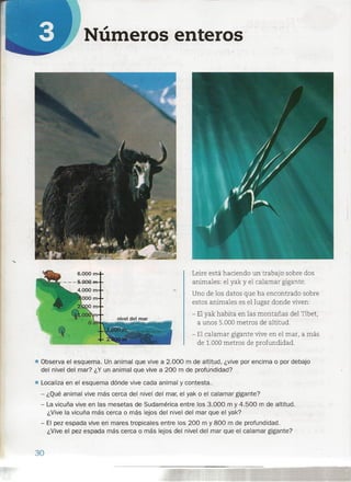~
Numeros enteros'
Leire está haciendo un trabajo sobre dos
animales: el yak y el calamar gigante.
Uno de los datos que ha encontrado sobre
estos animales es el lugar donde viven:
- Elyak habita en las montañas del Tíbet, .
a unos 5.000 metros de altitud.
- El calamar gigante vive en el mar, a más
de 1.000 metros de profundidad .
• Observa el esquema. Un animal que vive a 2.000 m de altitud, ¿vive por encima o por debajo
del nivel del mar? ¿Y un animal que vive a 200 m de profundidad?
• Localiza en el esquema dónde vive cada animal y contesta.
- ¿Qué animal vive más cerca del. nivel del mar, el yak o el calamar gigante?
- La vicuña vive en las mesetas de Sudamérica entre los 3.000 m y 4.500 m de altitud.
¿Vive la vicuña más cerca o más lejos del nivel del mar que el yak?
- El pez espada vive en mares tropicales entre los ;200 m y 800 m de profundidad.
¿Vive el pez espada más cerca o más lejos del nivel del mar que el calamar gigante?
30
 