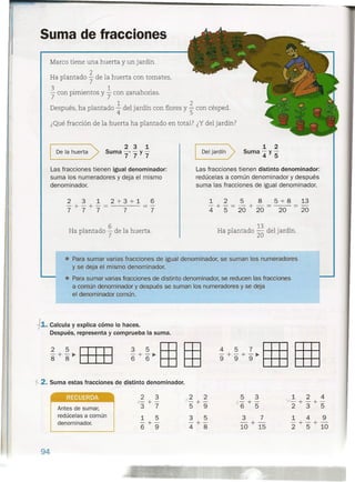 Suma de fracciones
Marco tiene una huerta y un jardín.
2
Ha plantado 7 de la huerta con tomates,
3 .. 1 h .
7 con pimientos y 7 con zana onas.
Después, ha plantado ~ del jardín con flores y 3. con césped.
4 5
¿Qué fracción de la huerta ha plantado en total? ¿Y del jardín?
1 2
Suma - y-
4 5
Deljardín>
> 2 3 1
De la huerta Suma -, - y -
7 7 7____ --J
Las fracciones tienen igual denominador:
suma los numeradores y deja el mismo
denominador.
Las fracciones tienen distinto denominador:
redúcelas a común denominador y después
suma las fracciones de igual denominador.
1 2 5 8 5+8
4 + 5" = 20 + 20 = 20
13
20
6
7
Ha plantado ~~ del jardín.
6
Ha plantado 7 de la huerta .
• Para sumar varias fracciones de igual denominador, se suman los numeradores
y se deja el mismo denominador .
• Para sumar varias fracciones de distinto denominador, se reducen las fracciones
a común denominador y después se suman los numeradores y se deja
el denominador común .
• Calcula y explica cómo lo haces.
Después, representa y comprueba la suma.
~+~~ ITIIJ
8 8 rn=o
--!- 2. Suma estas fracciones de distinto denominador.
----
RECUERDA 2 3 -,(22 5 3 124
f- +- -+- K- +- '-"--+- +-
3 7 5 9 6 5 235
1 5 3 5 3 7 1 4 9
-+- -+- 10 +15
-+-+ -
6 9 4 8 2 5 10
Antes de sumar,
redúcelas a común
denominador.
94
 