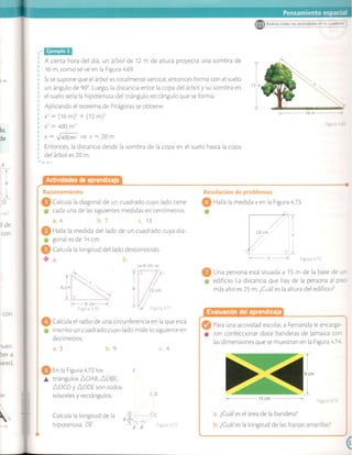Matematicas 7 vamos a aprender