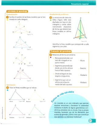 Matematicas 8 vamos a aprender
