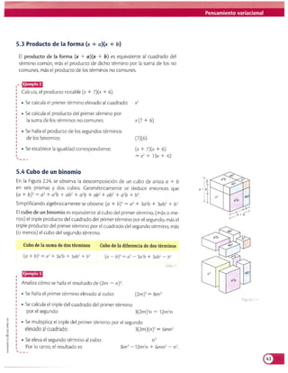 Matematicas 8 vamos a aprender
