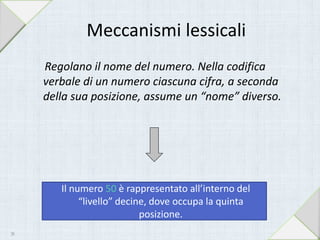Regolano il nome del numero. Nella codifica
verbale di un numero ciascuna cifra, a seconda
della sua posizione, assume un “nome” diverso.
Meccanismi lessicali
Il numero 50 è rappresentato all’interno del
“livello” decine, dove occupa la quinta
posizione.
20
 