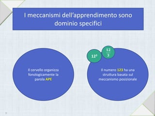 I meccanismi dell’apprendimento sono
dominio specifici
Il cervello organizza
fonologicamente la
parola APE
Il numero 123 ha una
struttura basata sul
meccanismo posizionale
24
123
 