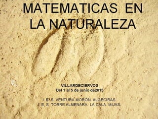 Matemáticas en la Naturaleza