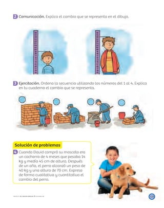 Solución de problemas
133PROYECTO SÉ, EDICIÓN ESPECIAL © EDICIONES SM
2 Comunicación. Explica el cambio que se representa en el dibujo.
3 Ejercitación. Ordena la secuencia utilizando los números del 1 al 4. Explica
en tu cuaderno el cambio que se representa.
4 Cuando David compró su mascota era
un cachorro de 4 meses que pesaba 14
kg y medía 45 cm de altura. Después
de un año, el perro alcanzó un peso de
40 kg y una altura de 70 cm. Expresa
de forma cualitativa y cuantitativa el
cambio del perro.
 