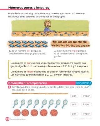 Desarrolla tus competencias
Pensamiento numérico32 PROYECTO SÉ, EDICIÓN ESPECIAL © EDICIONES SM
Números pares e impares
Paula tenía 15 dulces y 12 chocolatinas para compartir con su hermana.
Distribuyó cada conjunto de golosinas en dos grupos.
12 es un número par porque se
pueden formar dos grupos iguales.
15 es un número impar porque
no se pueden formar dos grupos
iguales.
Un número es par cuando se pueden formar de manera exacta dos
grupos iguales. Los números que terminan en 0, 2, 4, 6 y 8 son pares.
Un número es impar cuando no se pueden formar dos grupos iguales.
Los números que terminan en 1, 3, 5, 7 y 9 son impares.
1 Ejercitación. Para cada grupo de elementos, determina si se trata de una
cantidad par o impar.
par impar
par impar
par impar
 