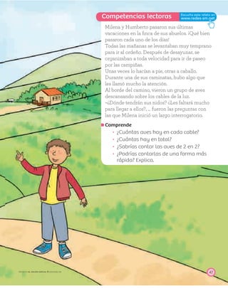 Competencias lectoras
47PROYECTO SÉ, EDICIÓN ESPECIAL © EDICIONES SM
Milena y Humberto pasaron sus últimas
vacaciones en la ﬁnca de sus abuelos. ¡Qué bien
pasaron cada uno de los días!
Todas las mañanas se levantaban muy temprano
para ir al ordeño. Después de desayunar, se
organizaban a toda velocidad para ir de paseo
por las campiñas.
Unas veces lo hacían a pie, otras a caballo.
Durante una de sus caminatas, hubo algo que
les llamó mucho la atención.
Al borde del camino, vieron un grupo de aves
descansando sobre los cables de la luz.
–¿Dónde tendrán sus nidos? ¿Les faltará mucho
para llegar a ellos?, … fueron las preguntas con
las que Milena inició un largo interrogatorio.
Comprende
¿Cuántas aves hay en cada cable?
¿Cuántas hay en total?
¿Sabrías contar las aves de 2 en 2?
¿Podrías contarlas de una forma más
rápida? Explica.
 