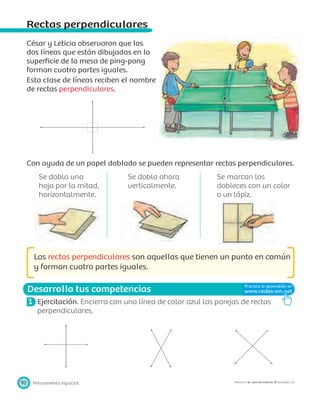 Desarrolla tus competencias
Pensamiento espacial92 PROYECTO SÉ, EDICIÓN ESPECIAL © EDICIONES SM
Rectas perpendiculares
César y Leticia observaron que las
dos líneas que están dibujadas en la
superﬁcie de la mesa de ping-pong
forman cuatro partes iguales.
Esta clase de líneas reciben el nombre
de rectas perpendiculares.
Con ayuda de un papel doblado se pueden representar rectas perpendiculares.
a. Se dobla una
hoja por la mitad,
horizontalmente.
b. Se dobla ahora
verticalmente.
c. Se marcan los
dobleces con un color
o un lápiz.
Las rectas perpendiculares son aquellas que tienen un punto en común
y forman cuatro partes iguales.
1 Ejercitación. Encierra con una línea de color azul las parejas de rectas
perpendiculares.
 