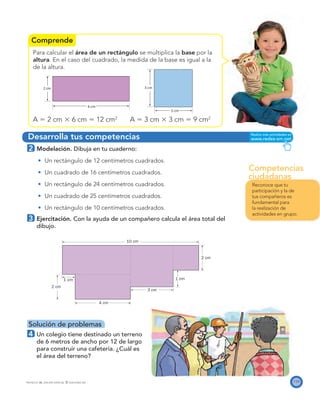 Competencias
ciudadanas
Comprende
Desarrolla tus competencias
3 cm
4 cm
2 cm
1 cm
10 cm
1 cm
2 cm
6 cm
2 cm 3 cm
3 cm
119PROYECTO SÉ, EDICIÓN ESPECIAL © EDICIONES SM
Para calcular el área de un rectángulo se multiplica la base por la
altura. En el caso del cuadrado, la medida de la base es igual a la
de la altura.
A ϭ 2 cm ϫ 6 cm ϭ 12 cm2
A ϭ 3 cm ϫ 3 cm ϭ 9 cm2
2 Modelación. Dibuja en tu cuaderno:
Un rectángulo de 12 centímetros cuadrados.
Un cuadrado de 16 centímetros cuadrados.
Un rectángulo de 24 centímetros cuadrados.
Un cuadrado de 25 centímetros cuadrados.
Un rectángulo de 10 centímetros cuadrados.
3 Ejercitación. Con la ayuda de un compañero calcula el área total del
dibujo.
Solución de problemas
4 Un colegio tiene destinado un terreno
de 6 metros de ancho por 12 de largo
para construir una cafetería. ¿Cuál es
el área del terreno?
Reconoce que tu
participación y la de
tus compañeros es
fundamental para
la realización de
actividades en grupo.
 
