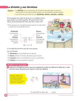 Practica con una guía
40 Pensamiento numérico PROYECTO SÉ, EDICIÓN ESPECIAL © EDICIONES SM
La división y sus términos
Explora La división es una operación de números naturales que se asocia a
situaciones en las que se debe repartir una cantidad en partes iguales.
Los términos de la división son dividendo, divisor, cociente y residuo.
El encargado de cuidar las focas en un zoológico tiene
que repartir, en partes iguales, 45 peces entre cinco
focas. ¿Cuántos peces le tiene que dar a cada una?
Para averiguar la cantidad de peces que le corresponden
a cada foca, se divide 45 entre 5.
Dividendo
Cantidad de
peces
54 5
Ϫ4 5
0
9
Divisor
Cantidad de
focas
Residuo
Cantidad de
peces que
sobran
Cociente
Cantidad de
peces para
cada foca
45 Ϭ 5 ϭ 9
R/ A cada foca le tiene que dar cinco peces.
En una división:
El dividendo es la cantidad que se reparte.
El divisor señala el número de partes que se hacen.
El cociente indica la cantidad que le toca a cada parte.
El residuo es lo que queda sin repartir.
1 Calcula la cantidad de peces que la encargada de cuidar los delﬁnes le debe dar a cada
animal si tiene 78 peces para repartir entre seis delﬁnes.
Empieza a repartir las
siete decenas entre los
seis delﬁnes. Después,
une la decena que te
sobra a las ocho unidades
y reparte los 18 peces.
A cada delfín le debe dar peces.
67 8
Ϫ6
1
1
 