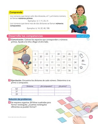 Comprende
Desarrolla tus competencias
33
5
30
2
16
18
15
4
3
8
12
34
25
7
11
6
13
12
26
23
39 29
17 34
24 56
16
56
55Pensamiento numéricoPROYECTO SÉ, EDICIÓN ESPECIAL © EDICIONES SM
Los números que tienen solo dos divisores, el 1 y el mismo número,
se llaman números primos.
Ejemplos: 3, 7, 11, 23, 31.
Los números que tiene más de dos divisores se llaman números
compuestos.
Ejemplos: 6, 14, 22, 40, 100.
2 Comunicación. Colorea los espacios que corresponden a números
primos. Ayuda a la niña a llegar al otro lado.
3 Ejercitación. Encuentra los divisores de cada número. Determina si es
primo o compuesto.
Divisores ¿Es compuesto? ¿Es primo?
62
37
39
Solución de problemas
4 Se requiere organizar 30 ﬁchas cuadradas para
formar rectángulos. ¿Cuántos rectángulos
diferentes se pueden formar?
 