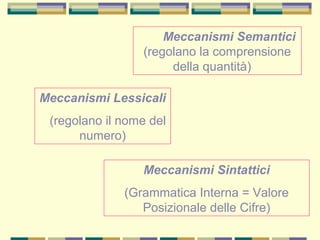 Meccanismi Semantici
(regolano la comprensione
della quantità)
Meccanismi Lessicali
(regolano il nome del
numero)
Meccanismi Sintattici
(Grammatica Interna = Valore
Posizionale delle Cifre)
 