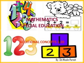 MATHEMATICS
SPECIAL EDUCATION


ADDITIONAL CONCEPTS 1-20



                   By : Siti Misalin Parnoh
 