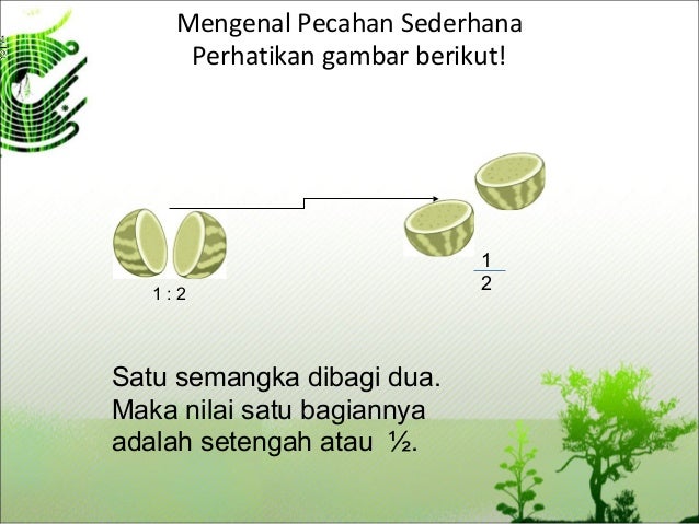 89 Gambar Semangka Arsiran Kekinian 89 Gambar Semangka Arsiran Kekinian