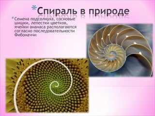 Matematika | PPT