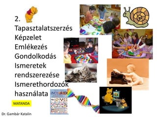 2.
Tapasztalatszerzés
Képzelet
Emlékezés
Gondolkodás
Ismeretek
rendszerezése
Ismerethordozók
használata
MATANDA
Dr. Gambár Katalin
 
