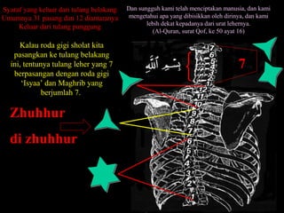 Kalau roda gigi sholat kita
pasangkan ke tulang belakang
ini, tentunya tulang leher yang 7
berpasangan dengan roda gigi
‘Isyaa’ dan Maghrib yang
berjumlah 7.
77
ZhuhhurZhuhhur
di zhuhhurdi zhuhhur
Syaraf yang keluar dari tulang belakang
Umumnya 31 pasang dan 12 diantaranya
Keluar dari tulang punggung
Dan sungguh kami telah menciptakan manusia, dan kami
mengetahui apa yang dibisikkan oleh dirinya, dan kami
lebih dekat kepadanya dari urat lehernya.
(Al-Quran, surat Qof, ke 50 ayat 16)
 
