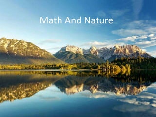 Math And Nature
 
