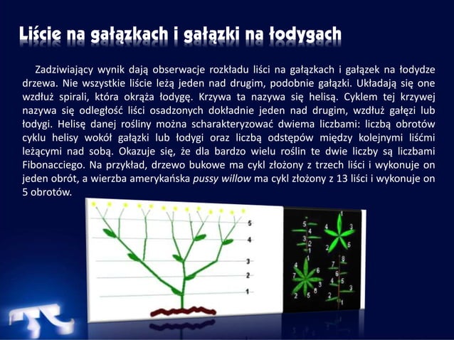Sprawdzian Siły W Przyrodzie Klasa 7 Matematyka w przyrodzie nowe prezentacja | PPSX | Biological Sciences