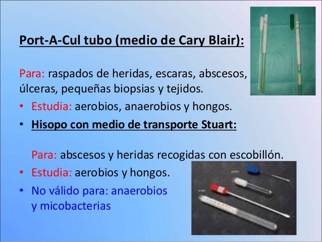 Metodos de Siembra