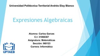 Expresiones Algebraicas
Universidad Politécnica Territorial Andrés Eloy Blanco
Alumno: Carlos Garces
C.I: 31066367
Asignatura: Matemáticas
Sección: IN0123
Carrera: Informática
 