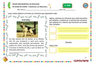 SECRETARIA MUNICIPAL DE EDUCAÇÃO
DE DUQUE DE CAXIAS - Trabalhando com Matemática
Meu nome é Hoje é dia / / .
Leia o texto abaixo e envolva os números que aparecem nele:
Você Sabia...
Agora, escreva os números que você encontrou
por extenso. Lembre-se: a escrita dos números
por extenso é o mesmo que escrever os nomes
dos números.
Os cães adultos têm 42 dentes. Já os filhotes
têm 29, que amolecem e caem para serem
substituídos pela dentição permanente. Eles
podem ter cáries. Uma das formas de prevenir
é escovar os dentes do cão, o que só deve ser
feito pelo veterinário.
http://recreionline.abril.com.br/fique_dentro/ciencia/bichos/conteudo_72484.shtml?/vc_sabi
a/vocesabia_72485.shtml
Hoje é dia...
Desafio:
60
2º ANO
 