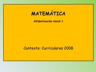 MATEMÁTICA
     Alfabetización inicial 1




Contexto: Curriculares 2008




                                1
 