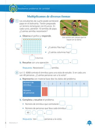 57
57
Matemática 4
Número de
ómnibus
1 2 3 4 5 6
Número
de personas
1	 Los estudiantes de cuarto grado sembrarán
papa en el biohuerto. Tienen preparado
un terreno rectangular con 8 surcos. En
cada surco, pondrán 10 semillas de papa.
¿Cuántas semillas necesitarán?
Multiplicamos de diversas formas
a.	 Observa el gráfico y responde.
2	 La I. E. 6068 contrata 6 ómnibus para una visita de estudio. Si en cada uno
van 40 personas. ¿Cuántas personas van a la visita?
a.	 Representa con material base diez los datos del problema.
b.	Completa y resuelve el problema.
•	 Número de ómnibus que contratarán .
•	 Número de personas que lleva cada ómnibus .
40 =
•	 ¿Cuántos filas hay?
•	 ¿Cuántas columnas hay?
b.	Resuelve con una operación.
Columnas
FICHA
20 Resolvemos problemas de cantidad
Filas
=
Respuesta. Necesitarán semillas.
Respuesta. Van personas a la visita.
Los surcos son zanjas que se
hacen en la tierra.
 