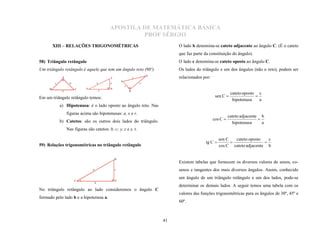 APOSTILA DE MATEMÁTICA BÁSICA
                                                           PROF SÉRGIO
         XIII – RELAÇÕES TRIGONOMÉTRICAS                                               O lado b denomina-se cateto adjacente ao ângulo C. (É o cateto
                                                                                       que faz parte da constituição do ângulo).
58) Triângulo retângulo                                                                O lado c denomina-se cateto oposto ao ângulo C.
Um triângulo retângulo é aquele que tem um ângulo reto (90º).                          Os lados do triângulo e um dos ângulos (não o reto), podem ser
                                                                              T
              A                                   Y                   r                relacionados por:
                                                          S
         c          b                     x       z                       s
                                                              t
     B                  C     Z                   X
              a                               y                   R
                                                                                                                      cateto oposto c
Em um triângulo retângulo temos:                                                                            sen C 
                                                                                                                       hipotenusa    a
                                                                                                                                   

             a) Hipotenusa: é o lado oposto ao ângulo reto. Nas
                  figuras acima são hipotenusas: a, x e r.
                                                                                                                     cateto adjacente b
             b) Catetos: são os outros dois lados do triângulo.                                            cos C 
                                                                                                                       hipotenusa      a
                                                                                                                                     

                  Nas figuras são catetos: b, c; y, z e s, t.

                                                                                                              sen C   cateto oposto   c
                                                                                                     tg C 
                                                                                                              cos C cateto adjacente b
                                                                                                                                   
59) Relações trigonométricas no triângulo retângulo

                                                      B
                                                                                       Existem tabelas que fornecem os diversos valores de senos, co-
                                  a                   c                                senos e tangentes dos mais diversos ângulos. Assim, conhecido
                                                                                       um ângulo de um triângulo retângulo e um dos lados, pode-se
                        C                             A
                                      b
                                                                                       determinar os demais lados. A seguir temos uma tabela com os
No triângulo retângulo ao lado consideremos o ângulo C
                                                                                       valores das funções trigonométricas para os ângulos de 30º, 45º e
formado pelo lado b e a hipotenusa a.
                                                                                       60º.



                                                                                  41
 