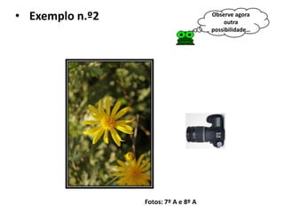 • Exemplo n.º2                        Observe agora
                                          outra
                                      possibilidade…




                 Fotos: 7º A e 8º A
 