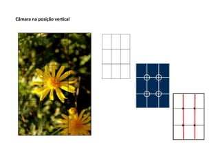 Câmara na posição vertical
 