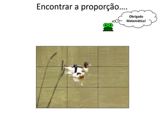 Encontrar a proporção….
                       Obrigado
                      Matemática!
 