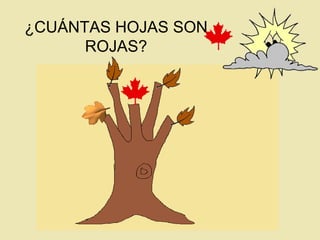 ¿CUÁNTAS HOJAS SON ROJAS? 
