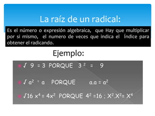 La raíz de un radical: 
Es el número o expresión algebraica, que Hay que multiplicar 
por si mismo, el numero de veces que indica el Índice para 
obtener el radicando. 
Ejemplo: 
 